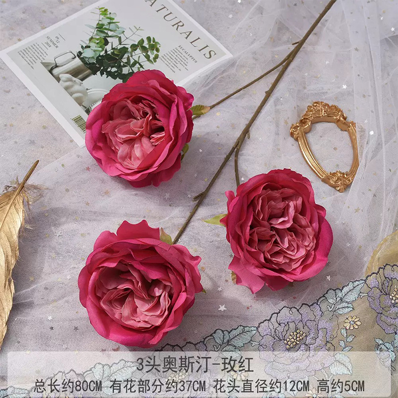 3헤드 오스틴 그라데이션 로즈 레드