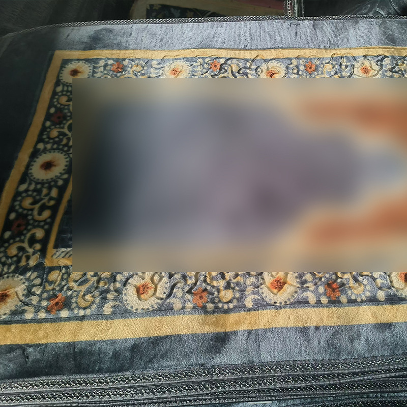 Fábrica de alfombra de Zhaobai fuente de flujo spot alfombra subai alfombra rascher alfombra doméstica antideslizante antisucia viento nacional