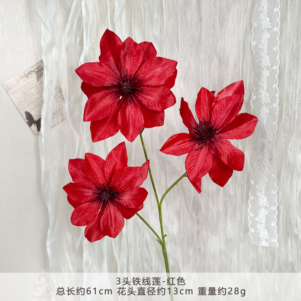 Mj-3 headed clematis - red