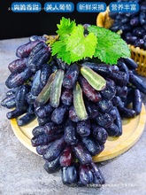 甜蜜蓝宝石葡萄新鲜水果整串美人指金手指无籽黑提子顺丰包邮特级