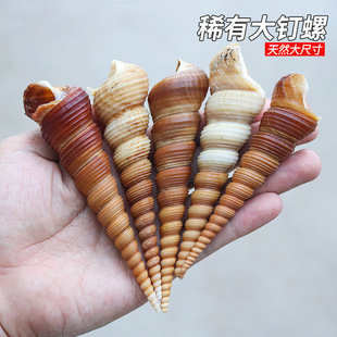 ��Ȼ���F�ݺ���ؐ�������~���쾰�b�DIY�ֹ��N�����Ϙ˱����l