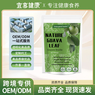 tk���R�dGuava Leaf blood sugar Immunity Tea��ʯ���~Դ�^�S��