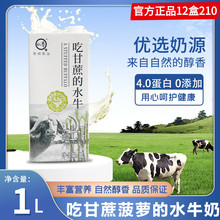 认养水牛奶1L广西吃甘蔗的水牛乳商用纯牛奶酪咖啡拿铁轻乳茶原料