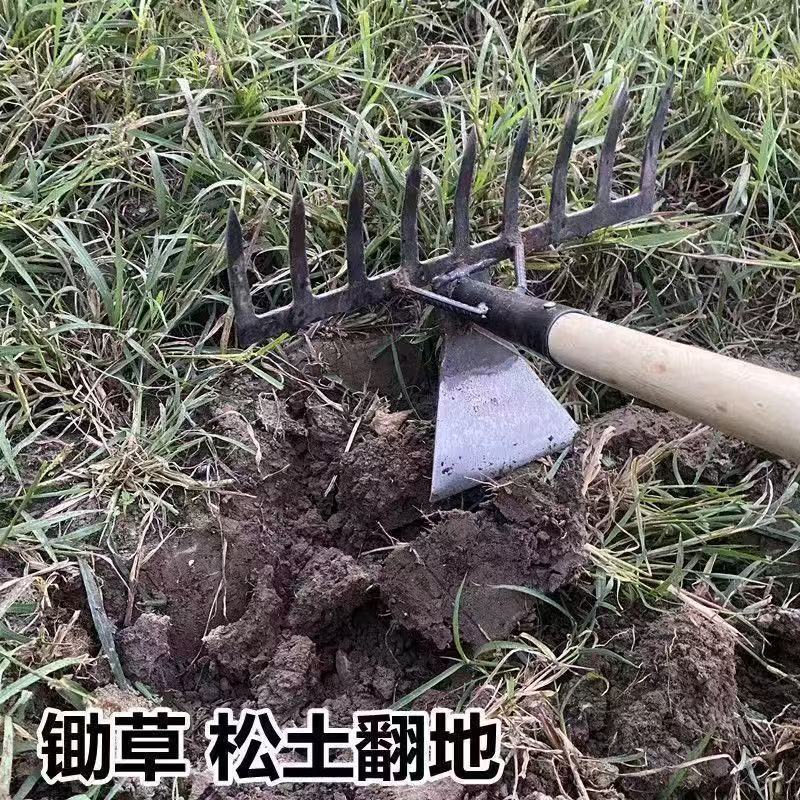 微信图片_202505070950594.jpg