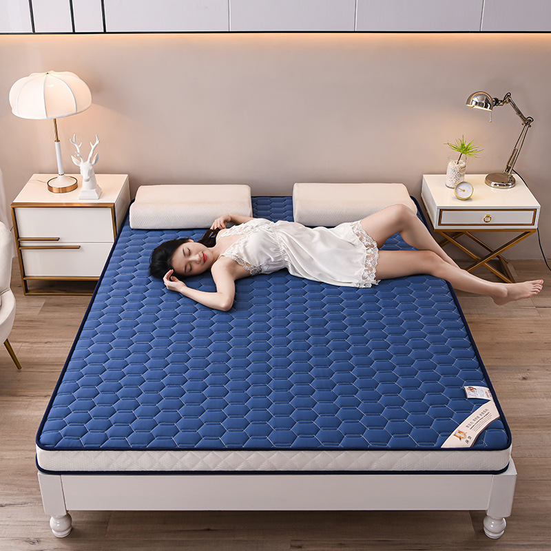 LaTeX 플러스 스폰지 블루