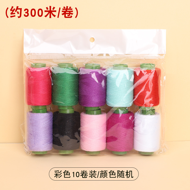 무작위 색상의 10개 롤