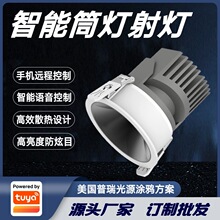 �T�f�������ҿ͏dǶ��ʽȫ���Vʯ��������Ŀ����Ͳ���A��COB���