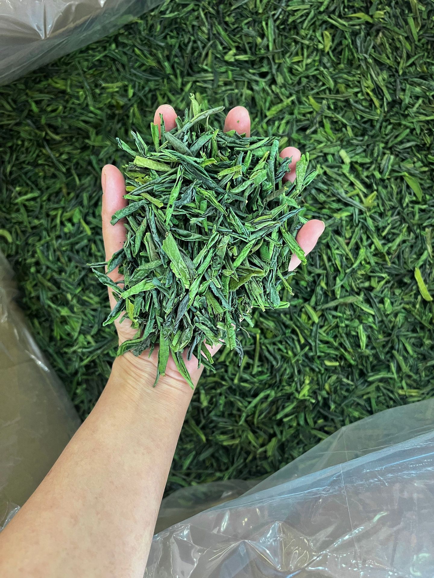 微信图片_20230509102723