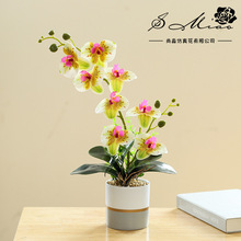 �ٻ��ɲ���^�����m���辰���滨�辰�S��ֱ���Ҿ��b�Ʒһ�����l