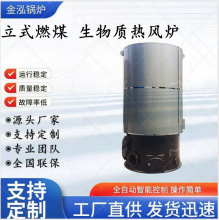 立式燃煤热风炉 养殖专用热风炉 新型热风炉 育苗采暖炉 锅炉