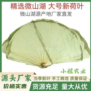 [大号荷叶整张荷叶干荷叶荷叶饭糯米鸡荷叶鸡叫花鸡泡茶微山湖荷叶]