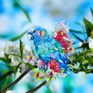 ���õ�һ��PET�N�� �����w�Bϵ�� ؐ�����֎��b��ز�10���� 6��
