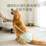 Физиологические штаны с большими собаками в больших собаках в больших собаках