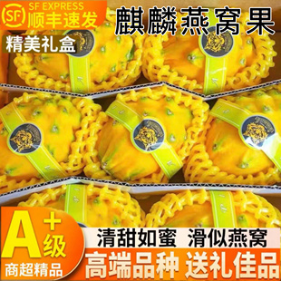 ��S������r��C����Ҋϡ�к���������S������ЋDˮ������Y��