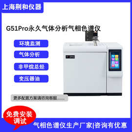 荆和 永久气体分析 焦炉煤气水煤气专用气相色谱仪高纯气体检测