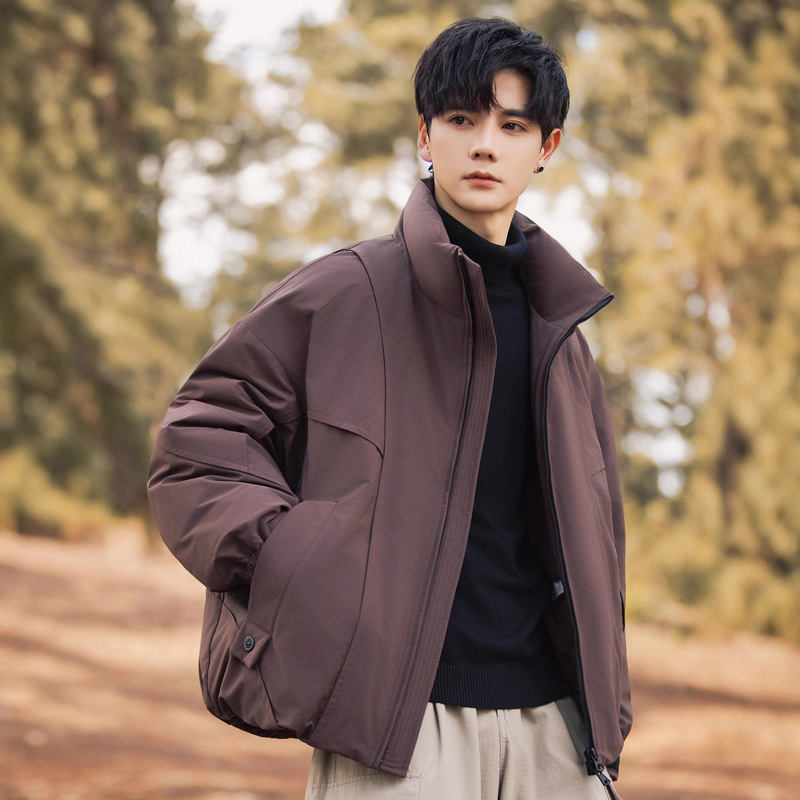 Stand Collar Short down Jacket for Men, Winter Thickened 2025 New Style, High-End Outdoor Workwear Jacket, Duck down Coat