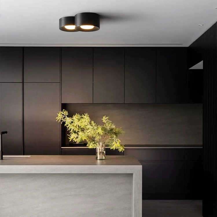 Mounted modern and minimalistic lights for corridor, ceiling light, LED lamp