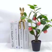 爆款仿真花摆设装饰假花玫瑰干花花束小盆栽餐桌茶几绢花卧室装饰