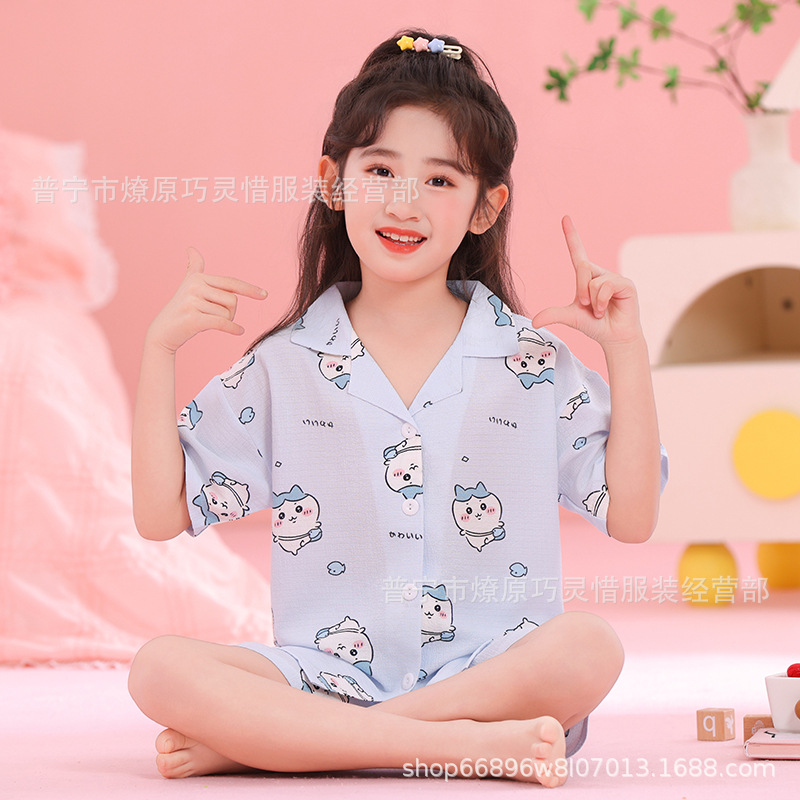 Zd - 242 ¿ Lan xiaoba