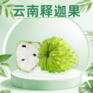 �����ȹ� һ�����l150-450gС�д�����^���r����b���rˮ��