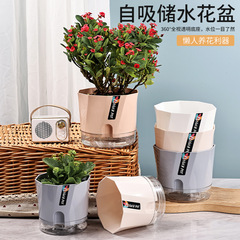 メーカー現物新商品卸売り透明プラスチック怠け者植木鉢創意シンプル自己吸水綿紐アマゾン園芸