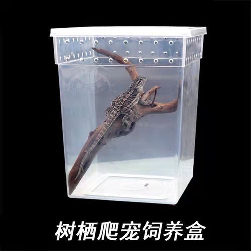 Tree-dwelling insect rearing box, pet cage, silkworm spider, frog, gecko box, lizard pet supplies, snake, insect.