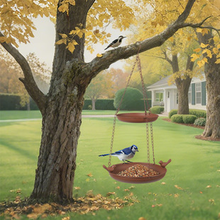 �Ғ�ʽ�Bԡ������B�ˮιʳ�����@¶̨�b�ˮ�끆�R�d�Bʳ���бP