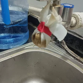 家务手套;厨房用纸;鞋靴罩、袋