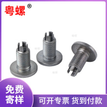 �ӹ�����צT�ͷ�����˨�ǘ�׼������ñ̼���\�l�ھo�������ݽz