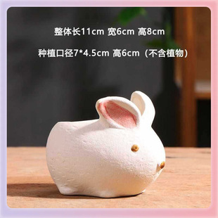 ?��ͨ���⻨�脓�₀������͸���������մɶ������������l