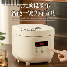 新款电饭煲~家用智能预约小型煮饭煲汤—人不粘锅电饭锅达