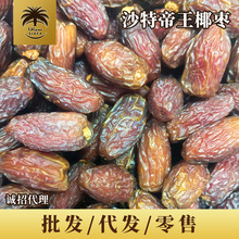 ��؛YALA�M��ɳ�ص���Ҭ���ϰ��LҬ����ʳ�������T�������l���u