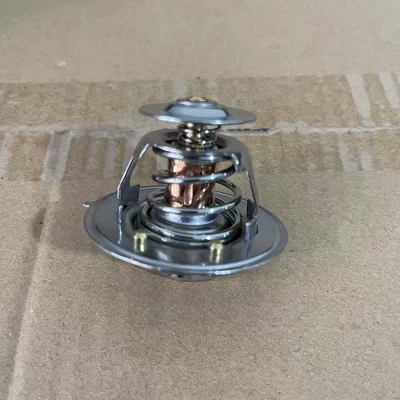 4930594 5284903 C4930315 – Thermostat