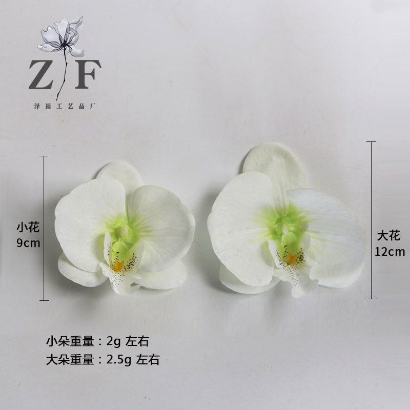 越境シミュレーション胡蝶蘭花頭diy9cm紫造花胡蝶蘭花弁白12cm胡蝶蘭花弁|undefined