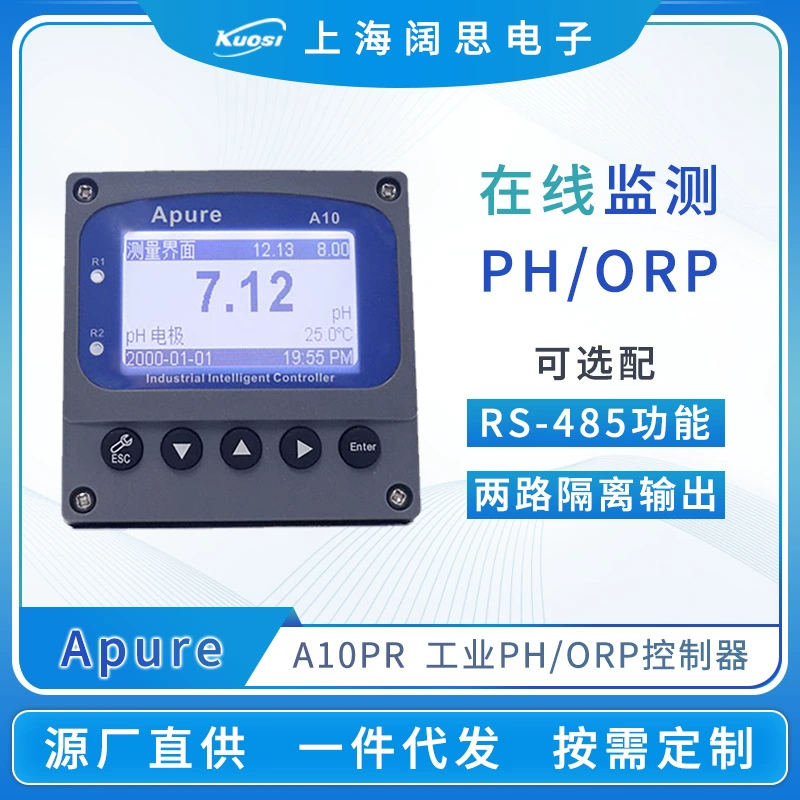 Пользовательский ph-метр измеритель кислотности A10PR Промышленный контроллер ph-детектора Запись pH-теста Измеритель