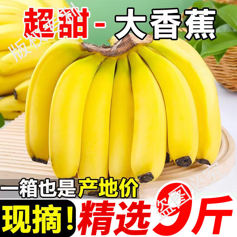 Yunnan Alpine Sweet Bananas 4.5kg Fresh Fruit Seasonal Freshly Picked Plantain Sweet Bananas Whole Box Naturally Ripe