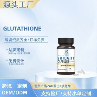 ���Q�F؛ϲ��֥�z��shilajit Capsules�羳���R�dtk���NԴ�^���S