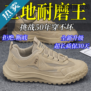 ������Ь2025�����ļ��W��͸�������ĥ�p�����e�����ڱ�Ь