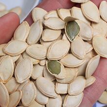 Ϲ15؛FƬ}ԭζ㎧ԭɢb؛