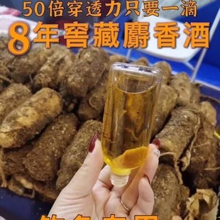 ���������СșҰ��~�˹������T�~���ڿ����~�a�~��ș��