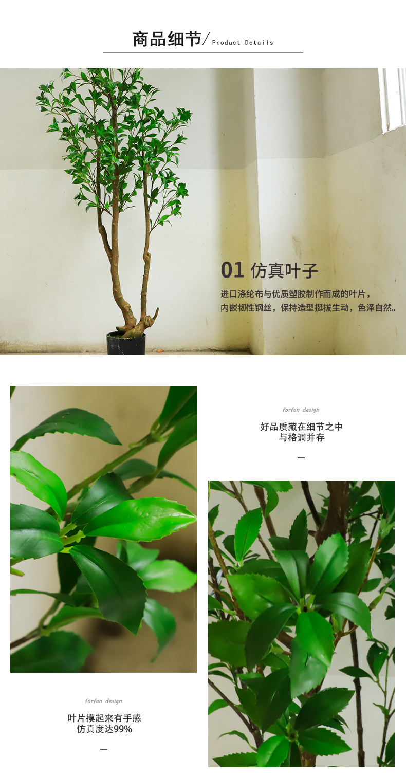 马醉木_07.jpg