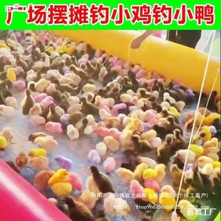 Fishing Toy Tool Rod Night Market Stall Pond Children's Fishing Live Chicken Chick Magnetic Internet Celebrity Package Square Fishing Chicken Metal
