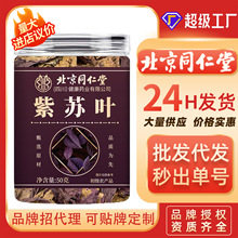 紫苏叶北京同仁堂紫苏中药材新鲜干货药食同源泡水喝代发批发养生