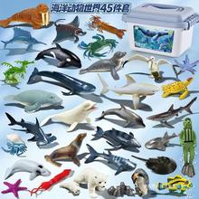 海洋动物模型玩具儿童海底世界生物鲨鱼鲸鱼海豚海龟玩偶礼物