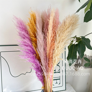 ��Ȼ���JȔ�S�����l��ɫ�JȔ����Ȕ�ɻ�������c�Ҿ��b[������