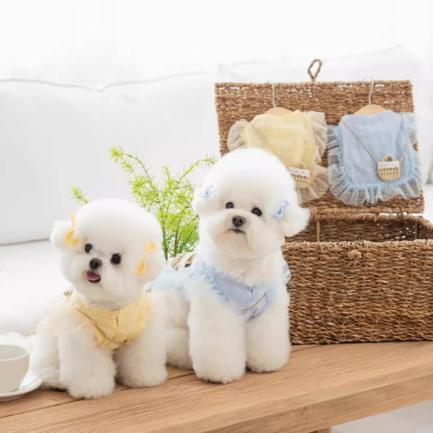 Perro pequeño de encaje amarillo Bichon vestido de princesa bolso de mensajero cachorro verano falda de hada perro mascota ropa de perro falda