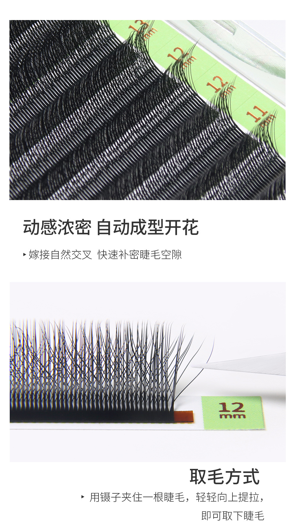 三叶草夹心睫毛