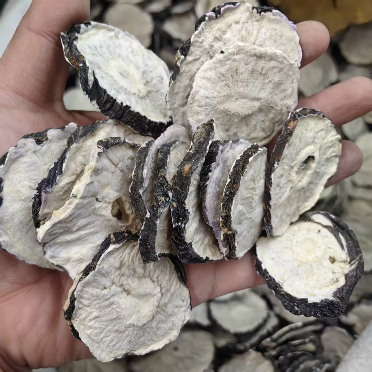 Maca Root Dried Slices Mai Jia 玛卡 Lepidium meyenii Hand Cut Sun Dried Herbal Slices 500g quality and texture