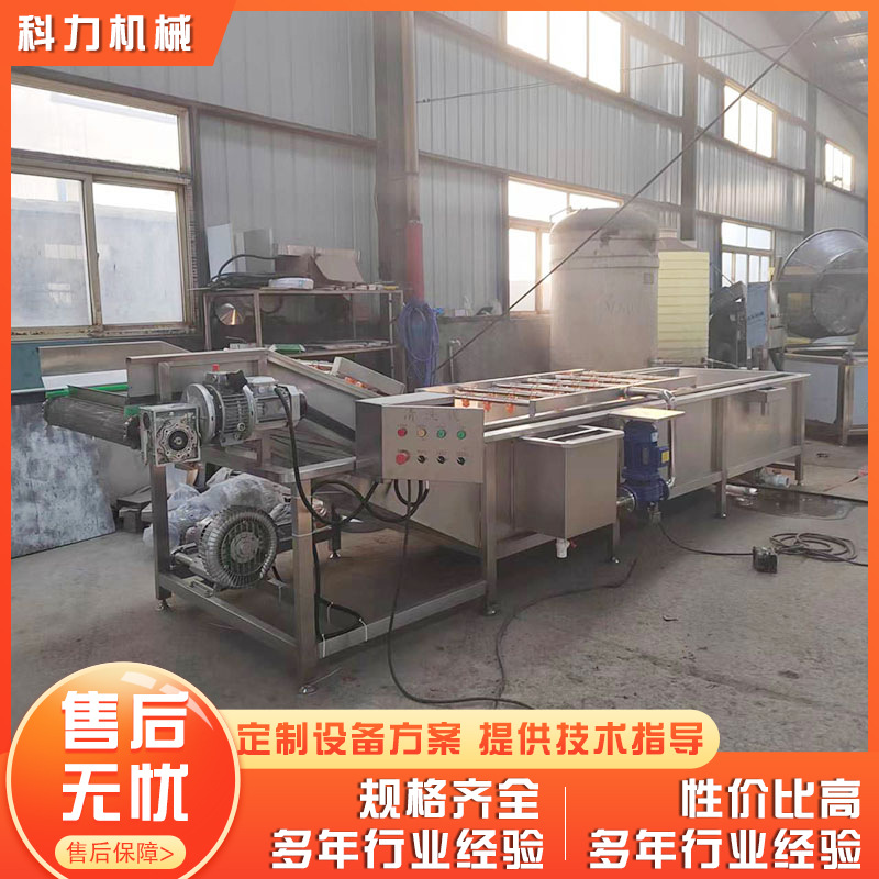 果蔬气泡喷淋清洗机 全自动叶菜类自动清洗机 自动洗菜机