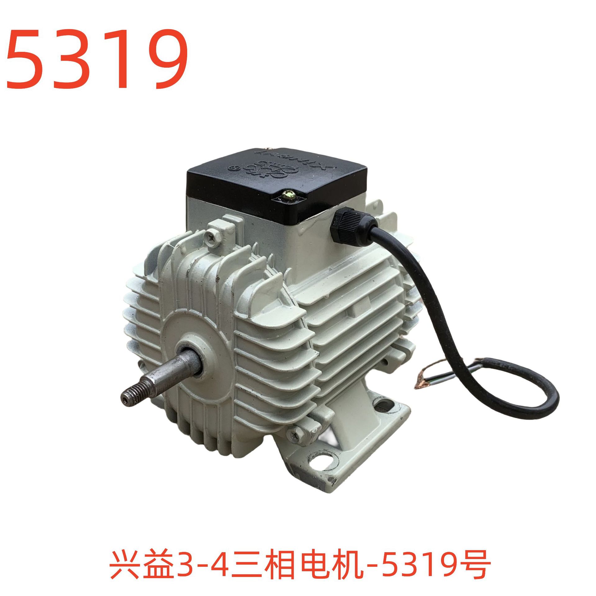 兴益3-4三相电机-5319号